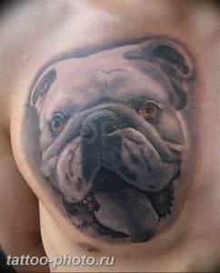 Фото тату бульдог 27.02.2019 №014 - Photo tattoo bulldog - tattoo-photo.ru