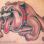Фото тату бульдог 27.02.2019 №017 - Photo tattoo bulldog - tattoo-photo.ru