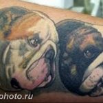 Фото тату бульдог 27.02.2019 №019 - Photo tattoo bulldog - tattoo-photo.ru