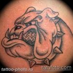 Фото тату бульдог 27.02.2019 №020 - Photo tattoo bulldog - tattoo-photo.ru