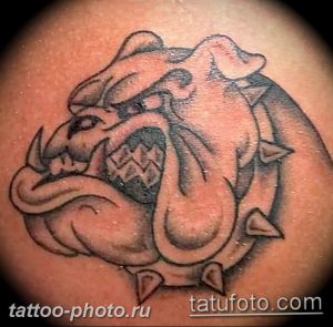 Фото тату бульдог 27.02.2019 №020 - Photo tattoo bulldog - tattoo-photo.ru