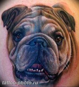 Фото тату бульдог 27.02.2019 №037 - Photo tattoo bulldog - tattoo-photo.ru