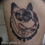 Фото тату бульдог 27.02.2019 №040 - Photo tattoo bulldog - tattoo-photo.ru
