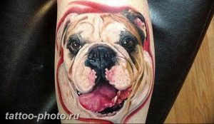 Фото тату бульдог 27.02.2019 №049 - Photo tattoo bulldog - tattoo-photo.ru