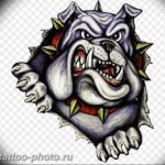 Фото тату бульдог 27.02.2019 №050 - Photo tattoo bulldog - tattoo-photo.ru