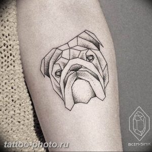 Фото тату бульдог 27.02.2019 №052 - Photo tattoo bulldog - tattoo-photo.ru