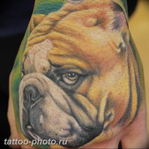 Фото тату бульдог 27.02.2019 №054 - Photo tattoo bulldog - tattoo-photo.ru
