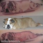 Фото тату бульдог 27.02.2019 №058 - Photo tattoo bulldog - tattoo-photo.ru