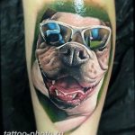 Фото тату бульдог 27.02.2019 №059 - Photo tattoo bulldog - tattoo-photo.ru