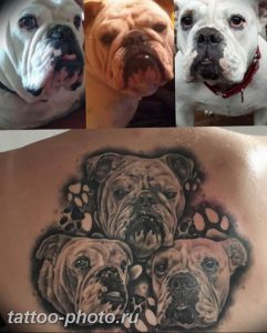 Фото тату бульдог 27.02.2019 №061 - Photo tattoo bulldog - tattoo-photo.ru