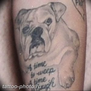 Фото тату бульдог 27.02.2019 №065 - Photo tattoo bulldog - tattoo-photo.ru