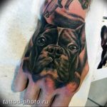 Фото тату бульдог 27.02.2019 №067 - Photo tattoo bulldog - tattoo-photo.ru