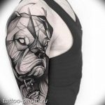 Фото тату бульдог 27.02.2019 №069 - Photo tattoo bulldog - tattoo-photo.ru