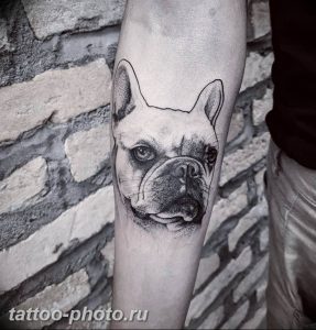 Фото тату бульдог 27.02.2019 №071 - Photo tattoo bulldog - tattoo-photo.ru
