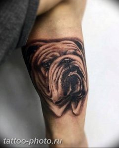 Фото тату бульдог 27.02.2019 №072 - Photo tattoo bulldog - tattoo-photo.ru