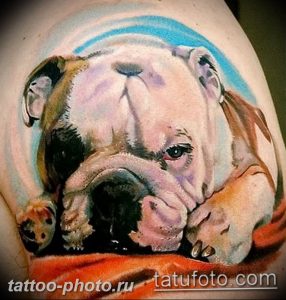 Фото тату бульдог 27.02.2019 №073 - Photo tattoo bulldog - tattoo-photo.ru