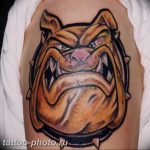 Фото тату бульдог 27.02.2019 №079 - Photo tattoo bulldog - tattoo-photo.ru