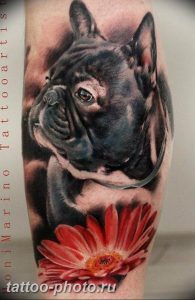 Фото тату бульдог 27.02.2019 №088 - Photo tattoo bulldog - tattoo-photo.ru