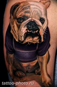 Фото тату бульдог 27.02.2019 №090 - Photo tattoo bulldog - tattoo-photo.ru