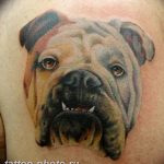 Фото тату бульдог 27.02.2019 №091 - Photo tattoo bulldog - tattoo-photo.ru