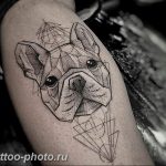 Фото тату бульдог 27.02.2019 №093 - Photo tattoo bulldog - tattoo-photo.ru