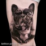 Фото тату бульдог 27.02.2019 №096 - Photo tattoo bulldog - tattoo-photo.ru