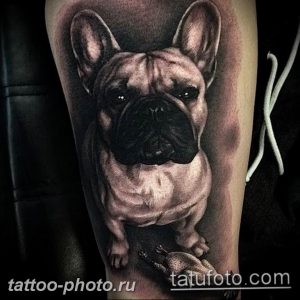 Фото тату бульдог 27.02.2019 №099 - Photo tattoo bulldog - tattoo-photo.ru
