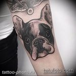 Фото тату бульдог 27.02.2019 №101 - Photo tattoo bulldog - tattoo-photo.ru