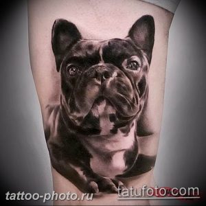 Фото тату бульдог 27.02.2019 №105 - Photo tattoo bulldog - tattoo-photo.ru