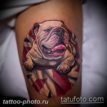 Фото тату бульдог 27.02.2019 №111 - Photo tattoo bulldog - tattoo-photo.ru