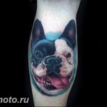 Фото тату бульдог 27.02.2019 №114 - Photo tattoo bulldog - tattoo-photo.ru