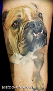 Фото тату бульдог 27.02.2019 №115 - Photo tattoo bulldog - tattoo-photo.ru