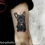 Фото тату бульдог 27.02.2019 №117 - Photo tattoo bulldog - tattoo-photo.ru