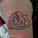 Фото тату бульдог 27.02.2019 №118 - Photo tattoo bulldog - tattoo-photo.ru