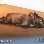 Фото тату бульдог 27.02.2019 №119 - Photo tattoo bulldog - tattoo-photo.ru