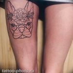 Фото тату бульдог 27.02.2019 №120 - Photo tattoo bulldog - tattoo-photo.ru