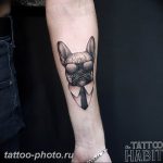 Фото тату бульдог 27.02.2019 №122 - Photo tattoo bulldog - tattoo-photo.ru