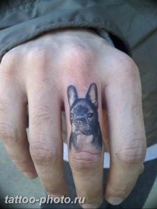Фото тату бульдог 27.02.2019 №123 - Photo tattoo bulldog - tattoo-photo.ru