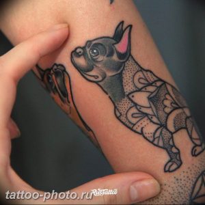 Фото тату бульдог 27.02.2019 №125 - Photo tattoo bulldog - tattoo-photo.ru
