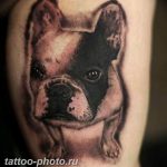 Фото тату бульдог 27.02.2019 №131 - Photo tattoo bulldog - tattoo-photo.ru