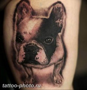 Фото тату бульдог 27.02.2019 №131 - Photo tattoo bulldog - tattoo-photo.ru