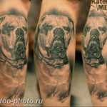 Фото тату бульдог 27.02.2019 №133 - Photo tattoo bulldog - tattoo-photo.ru