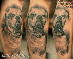 Фото тату бульдог 27.02.2019 №133 - Photo tattoo bulldog - tattoo-photo.ru