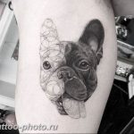 Фото тату бульдог 27.02.2019 №136 - Photo tattoo bulldog - tattoo-photo.ru