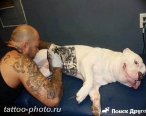 Фото тату бульдог 27.02.2019 №138 - Photo tattoo bulldog - tattoo-photo.ru