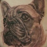 Фото тату бульдог 27.02.2019 №140 - Photo tattoo bulldog - tattoo-photo.ru