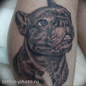 Фото тату бульдог 27.02.2019 №152 - Photo tattoo bulldog - tattoo-photo.ru