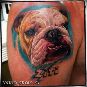 Фото тату бульдог 27.02.2019 №154 - Photo tattoo bulldog - tattoo-photo.ru
