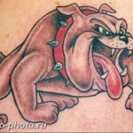 Фото тату бульдог 27.02.2019 №159 - Photo tattoo bulldog - tattoo-photo.ru