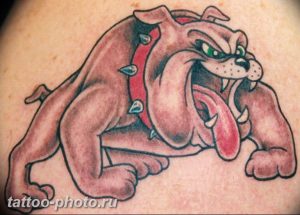 Фото тату бульдог 27.02.2019 №159 - Photo tattoo bulldog - tattoo-photo.ru
